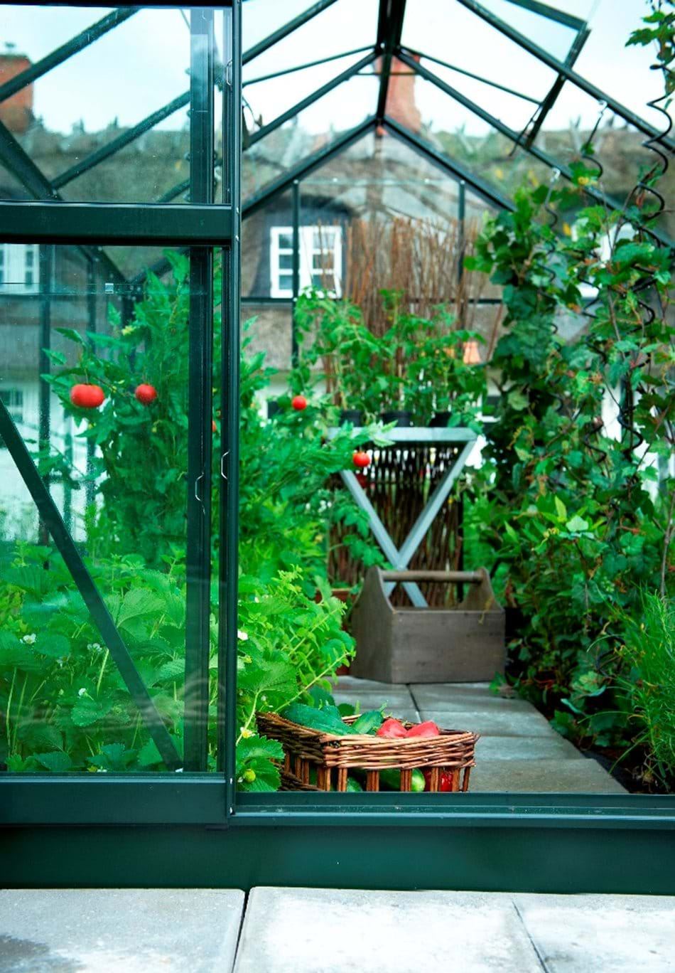 Halls POPULAR 610 6ft x 10ft Greenhouses