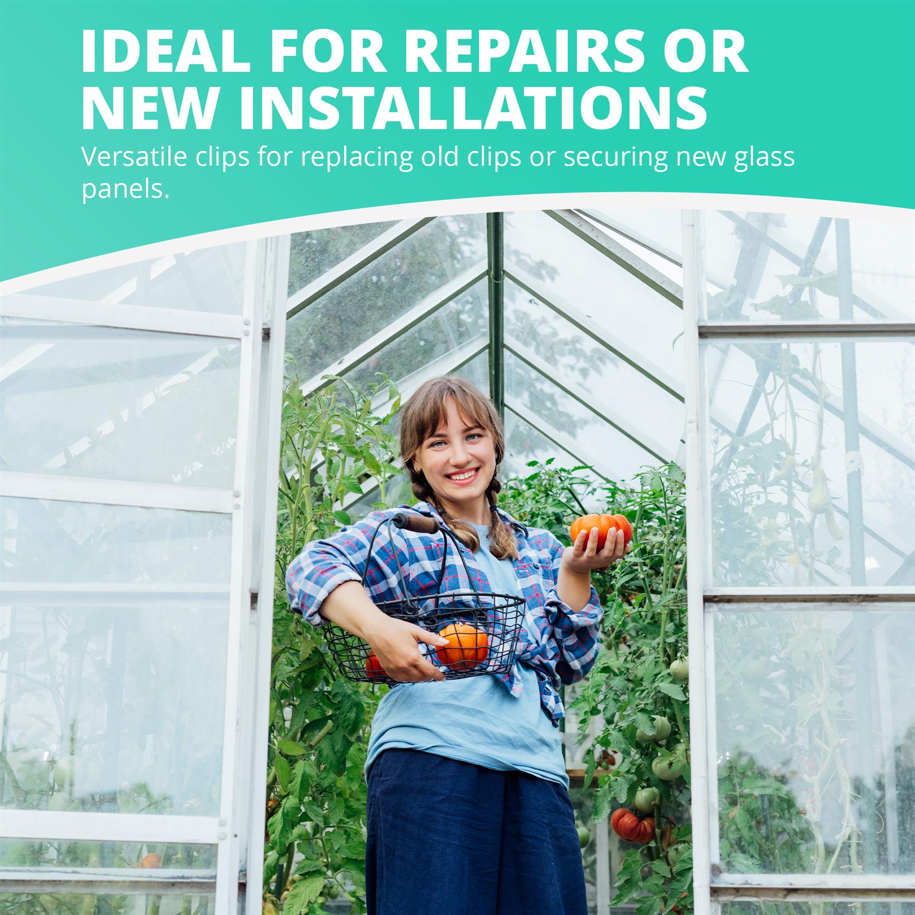 Greenhouse Repair Kit - W clips, Z Clips, Cruciform Nuts & Bolts - 50/100 Each