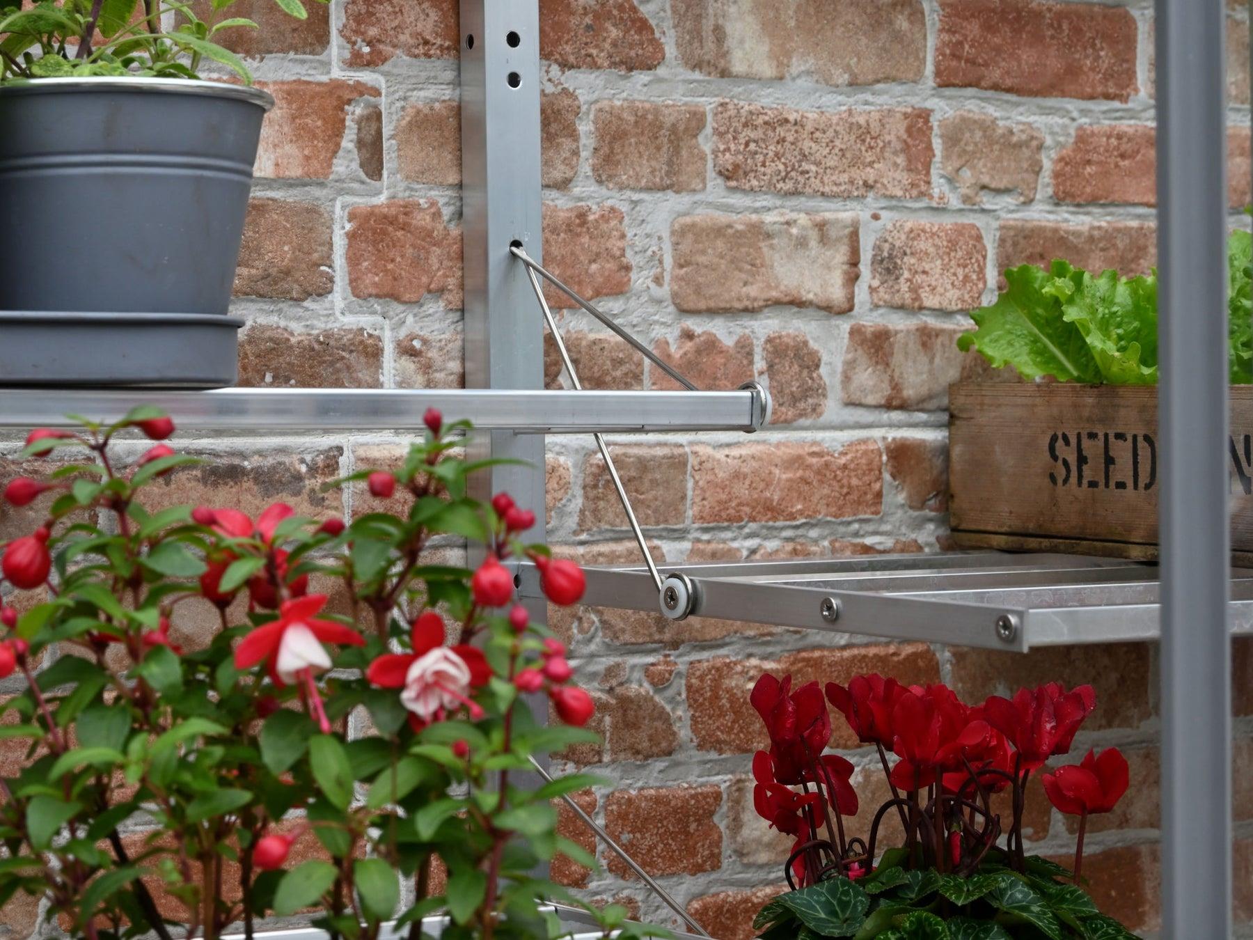 5" Harewood Greenhouse