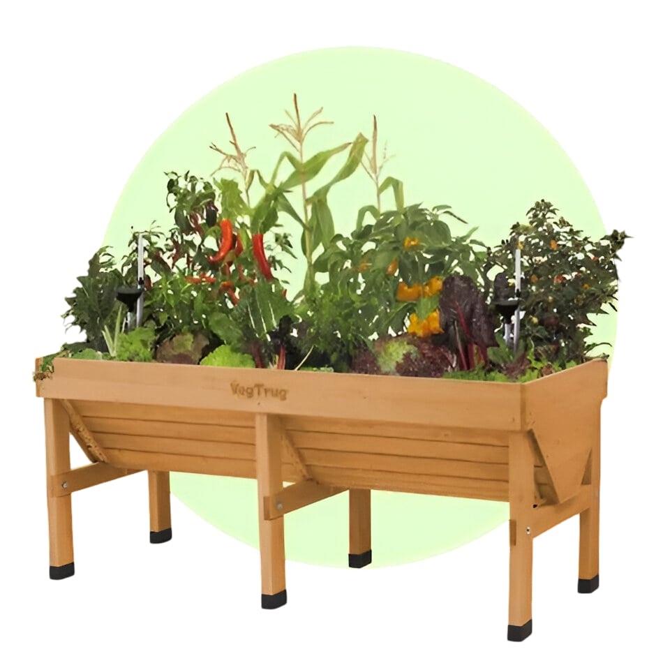 Medium Classic VegTrug - Natural