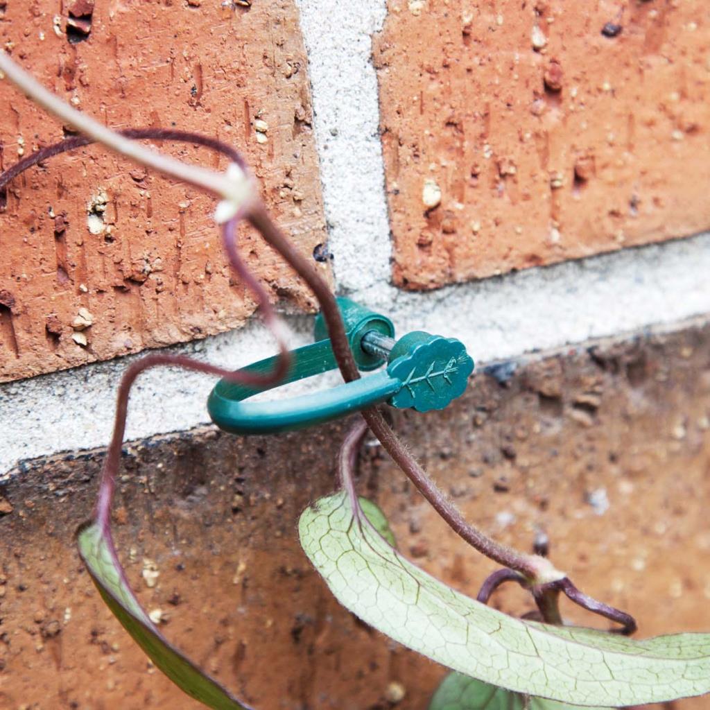 Ambassador SGS315 Stem Support Clips - Pack of 25