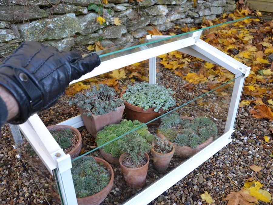 Access Garden Cloche - Plain