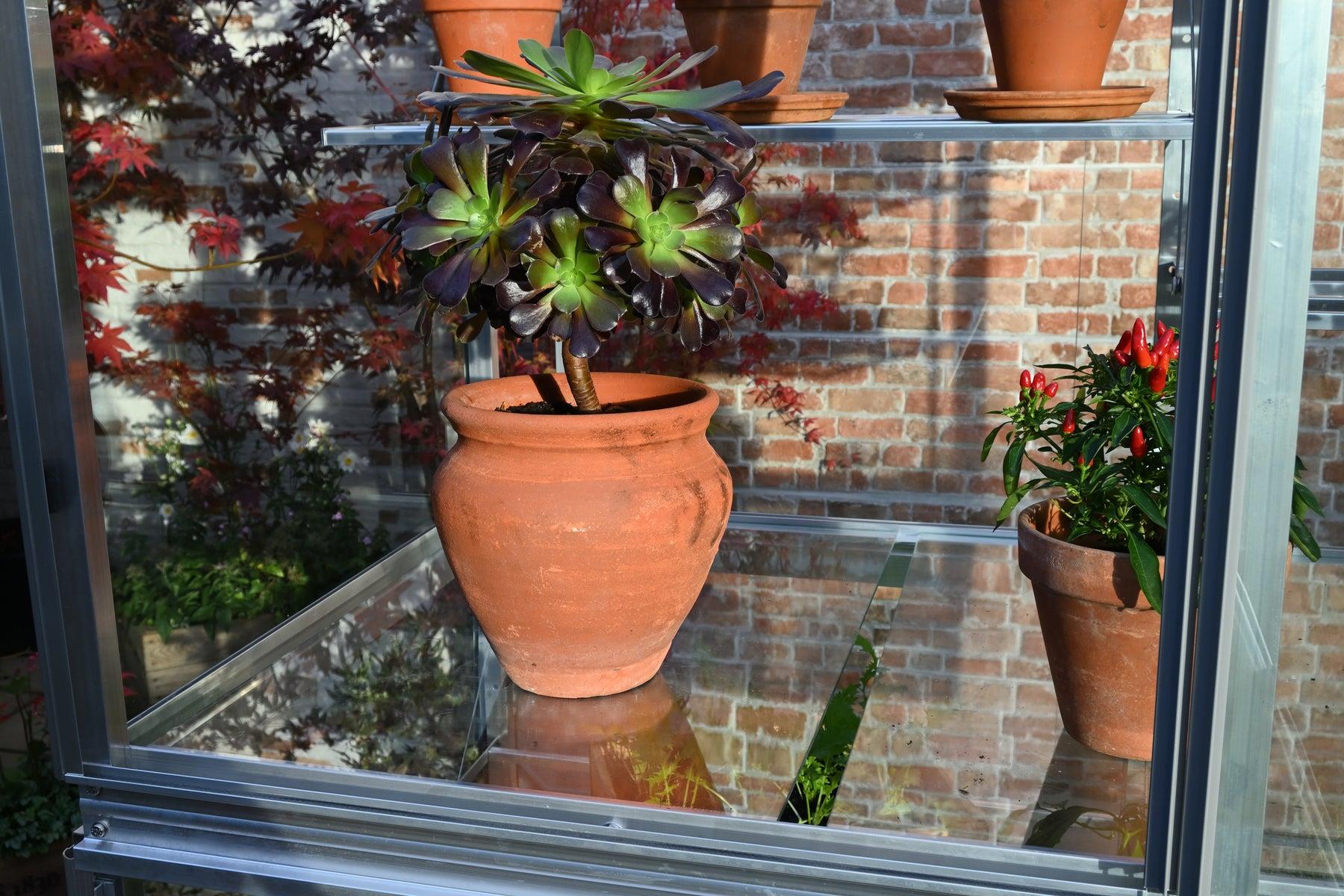 5" Exbury Greenhouse