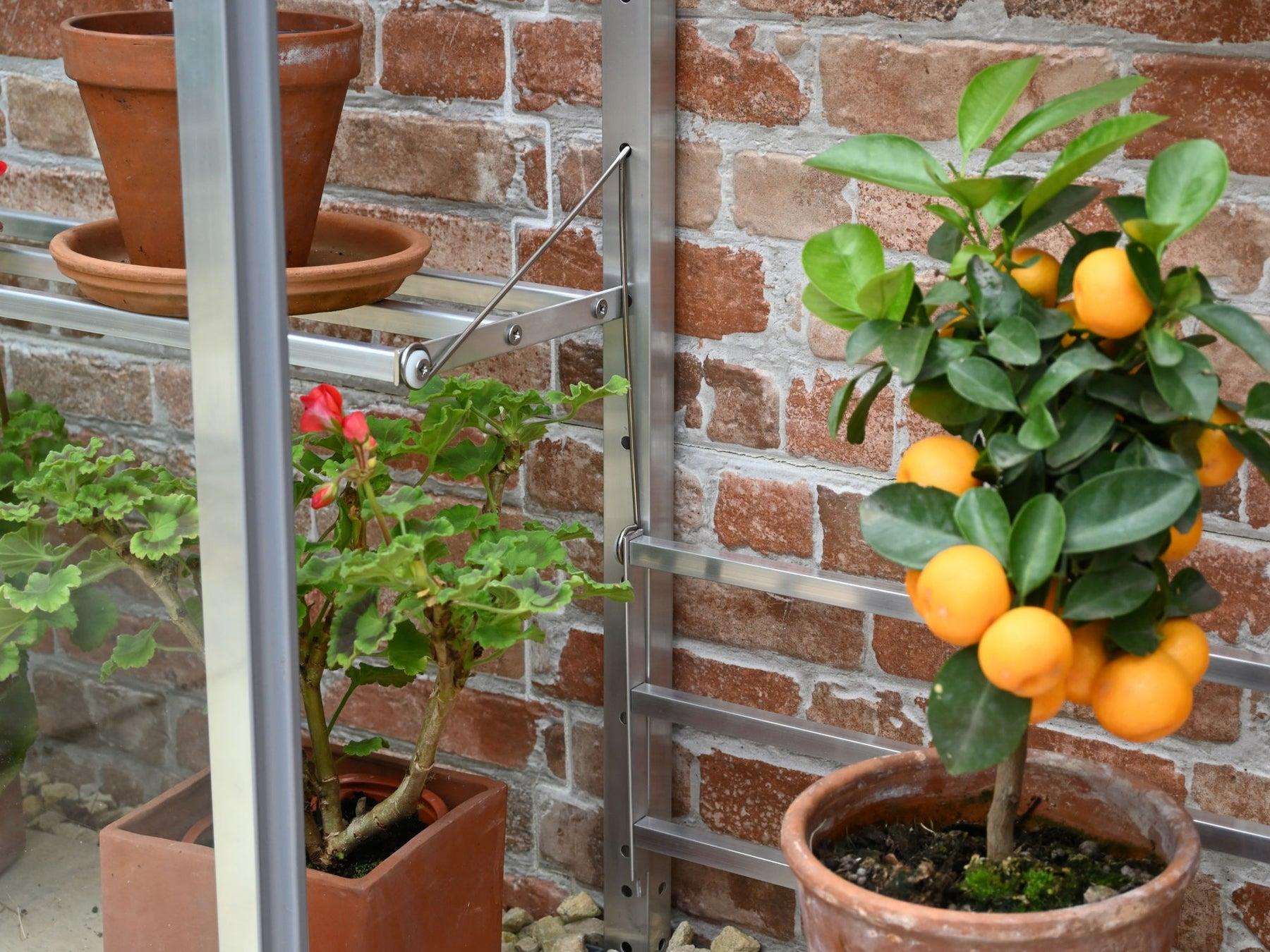 5" 1/2 Westminster Greenhouse