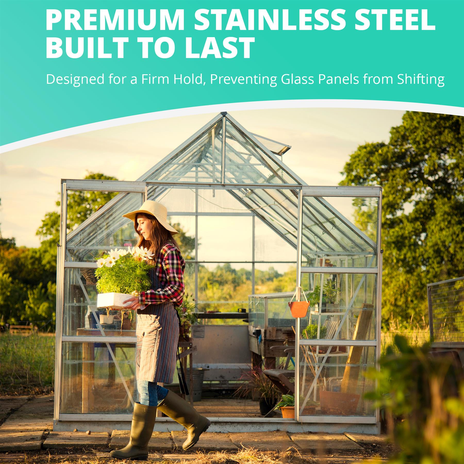 Greenhouse Glass Z Clips 50/100