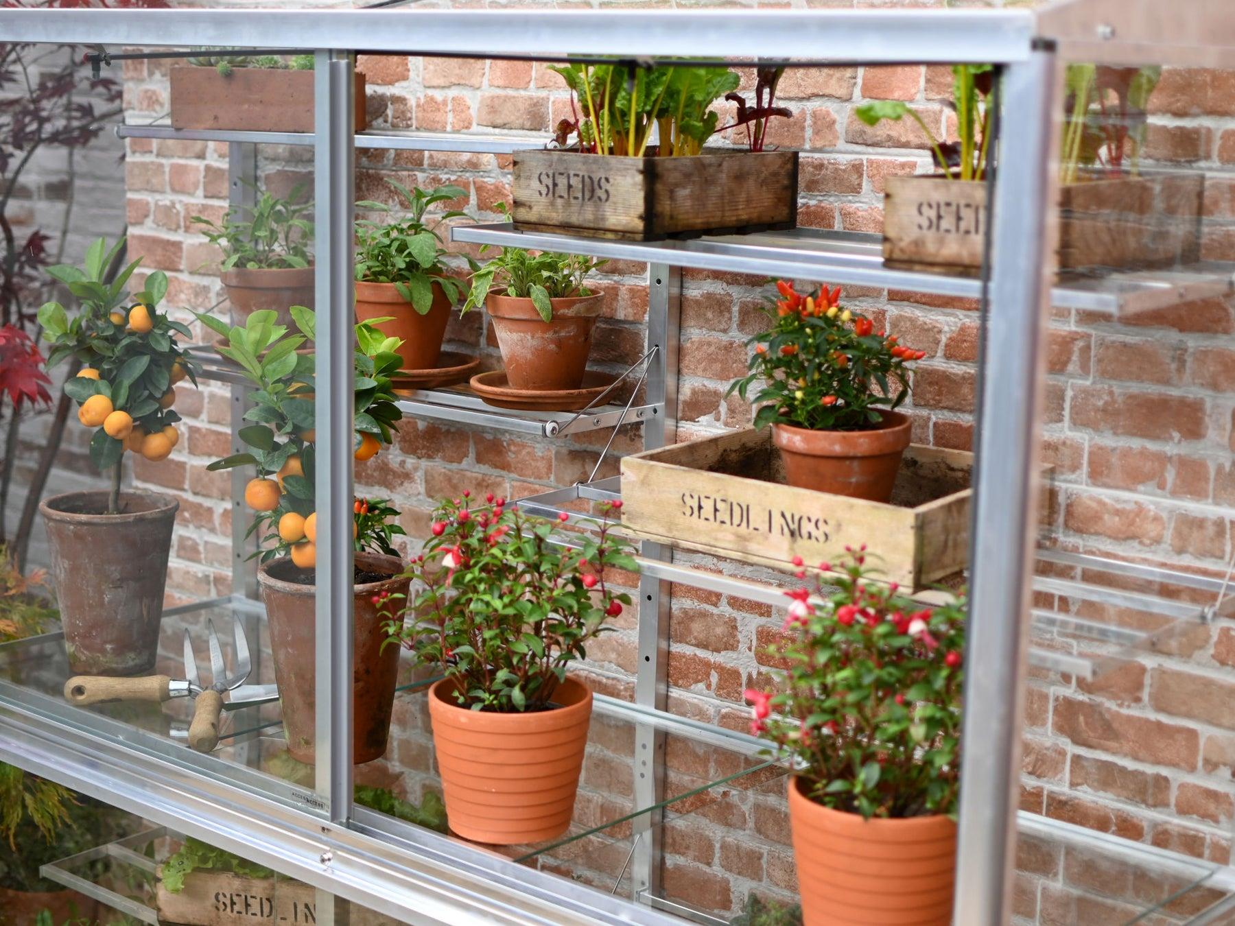 5" Hampton Greenhouse