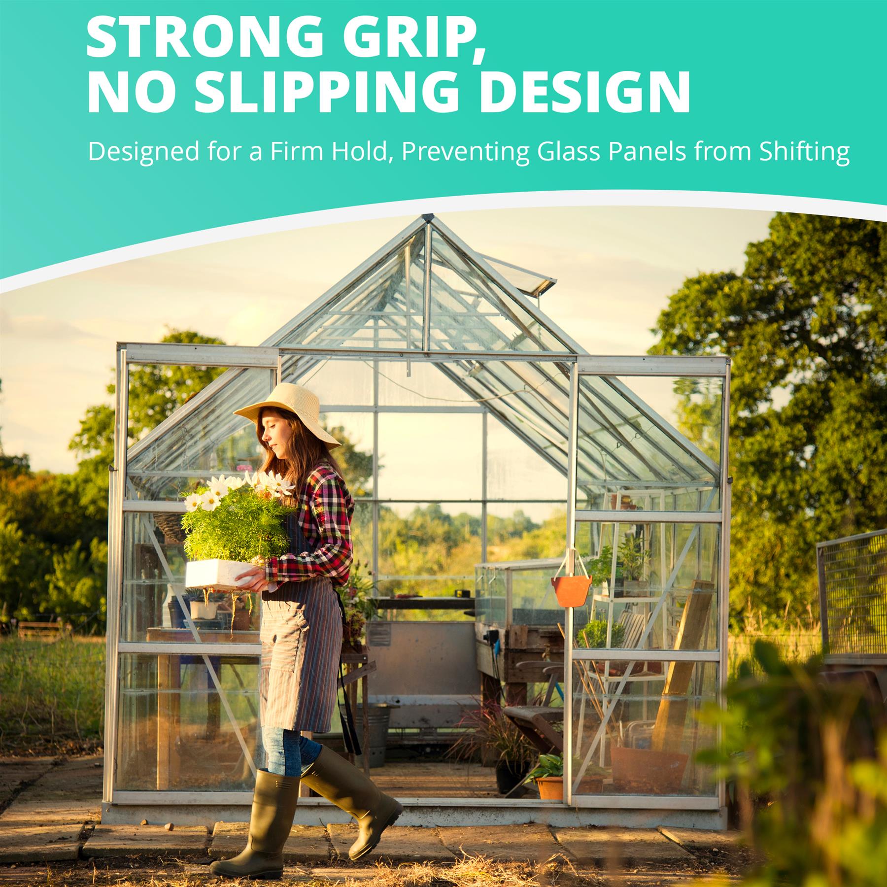 Greenhouse Glass W Clips 50/100