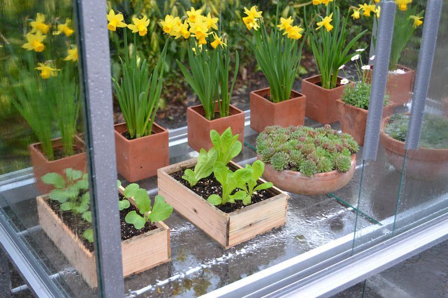 Middle Staging for 6ft Growhouses and 6ft Lean to Wall Frames