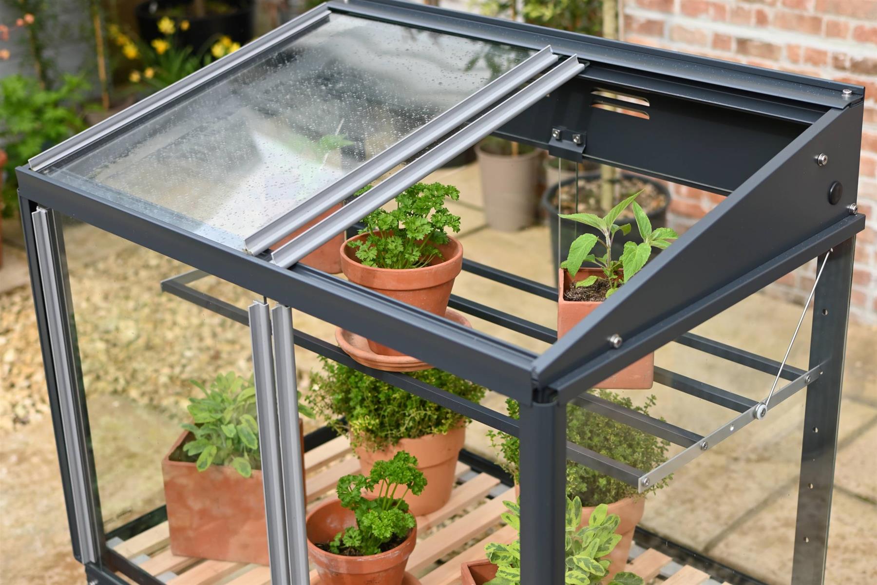 Herb House - Frame & Shelves Anthracite