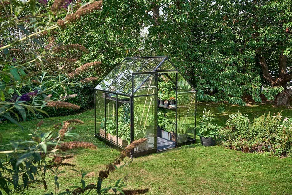 Halls QUBE 66 6ft x 6ft Greenhouse
