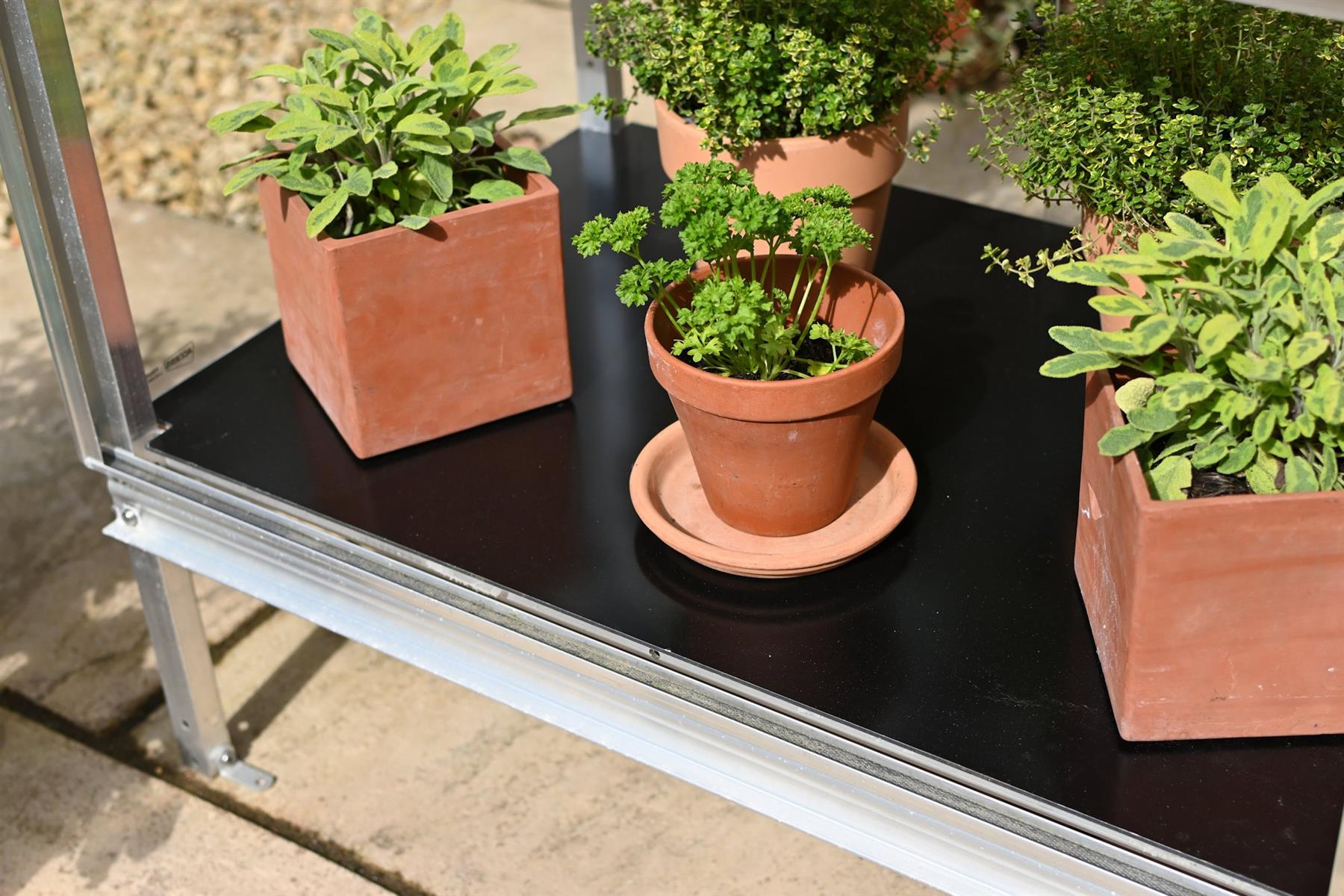 Winter Plate for Herb House