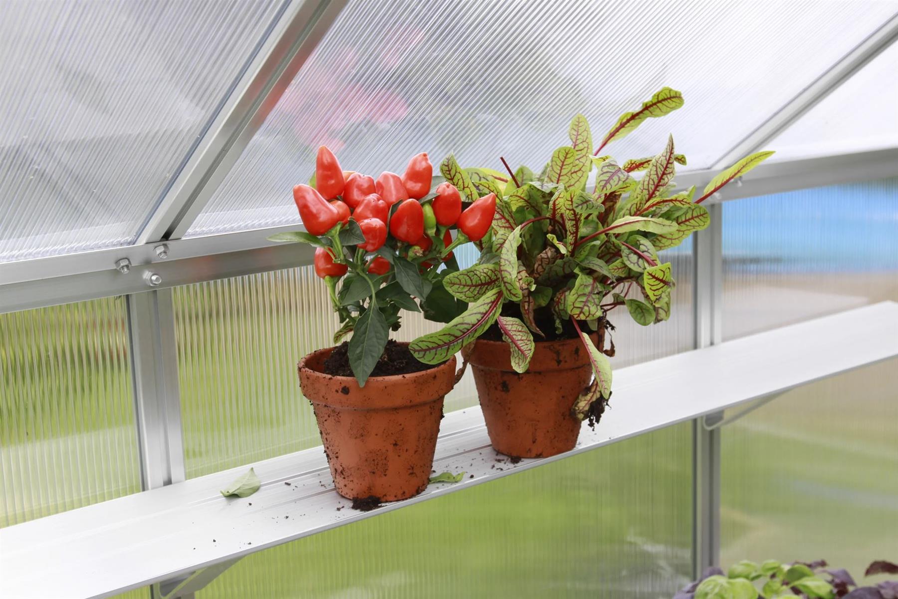 Aluminium Shelf - For mounting on the Wall - L121.5 x W15 cm