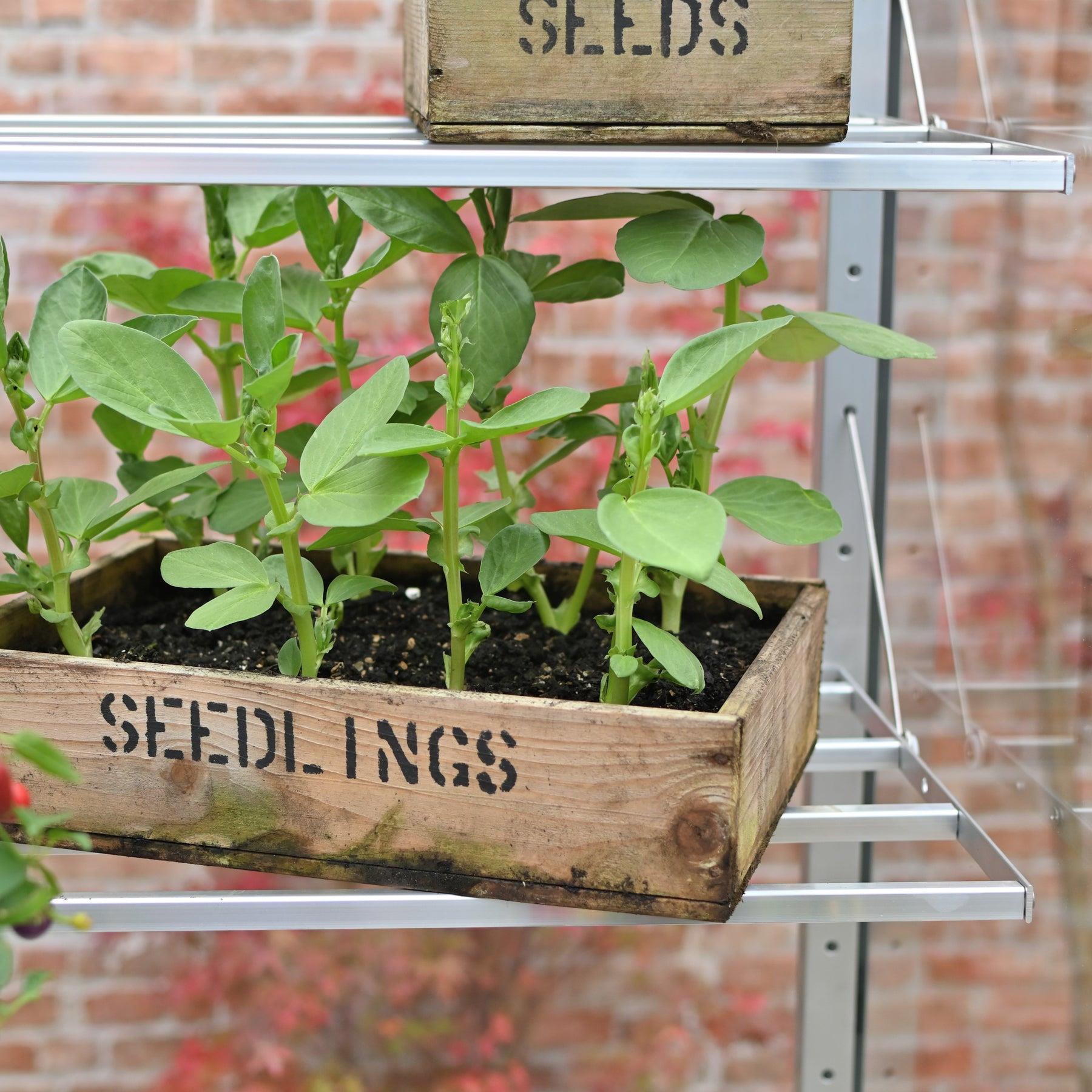 5" Exbury Greenhouse