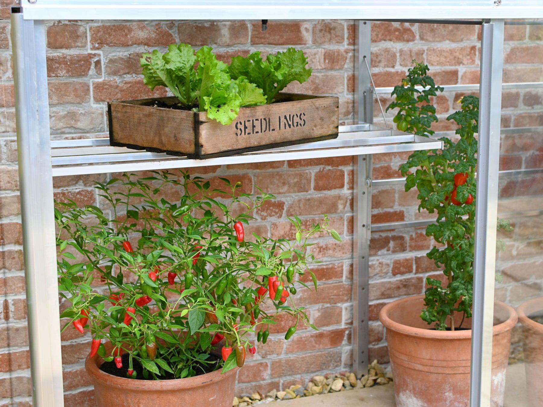 5" Hampton Greenhouse