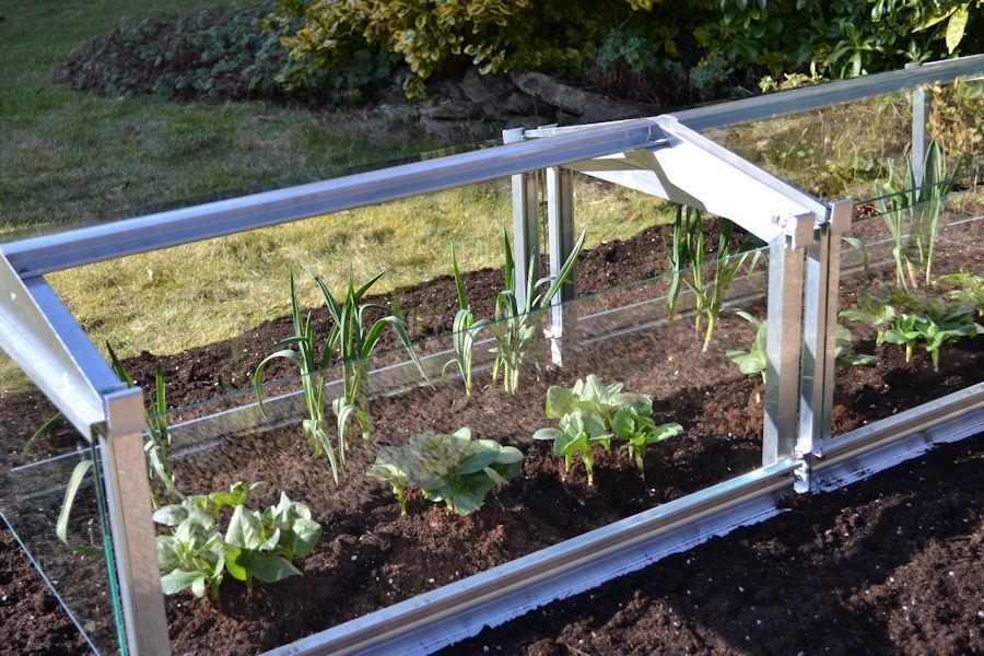 Access Garden Cloche - Plain