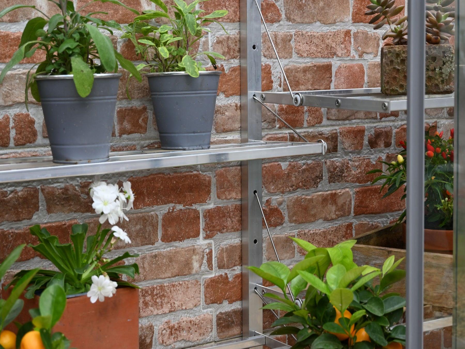 5" Harlow Greenhouse