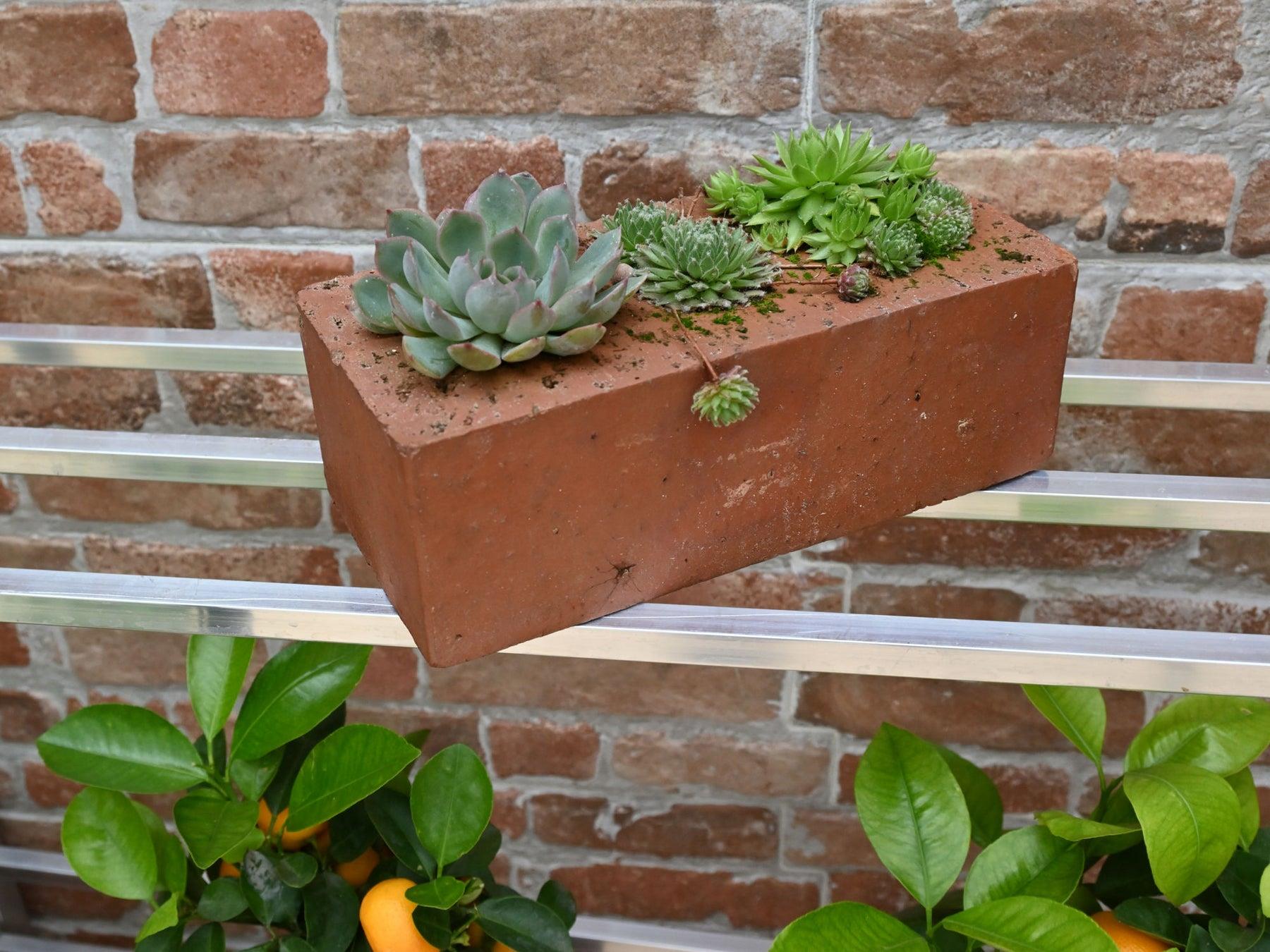 5" 1/2 Westminster Greenhouse