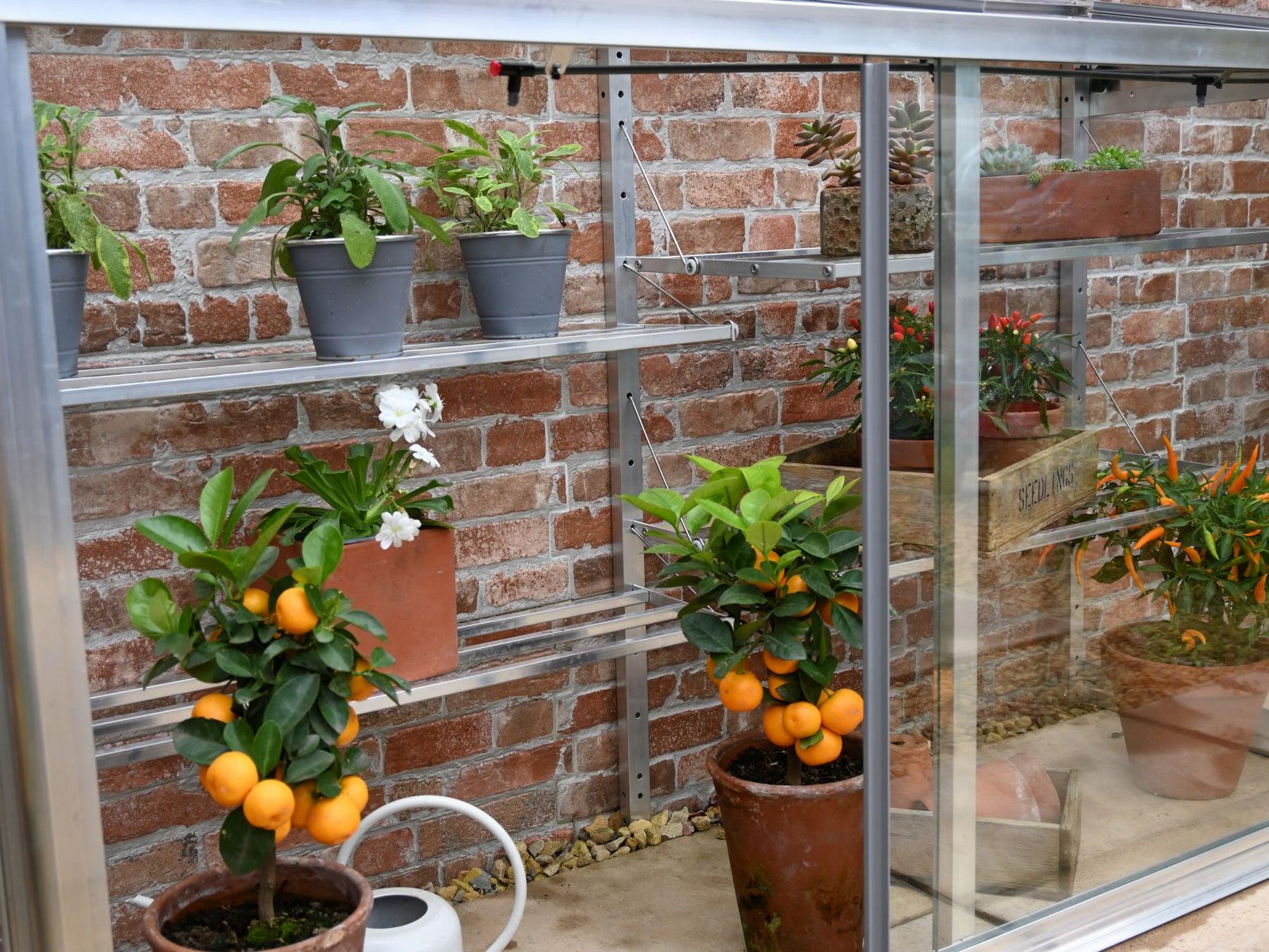 5" Harlow Greenhouse