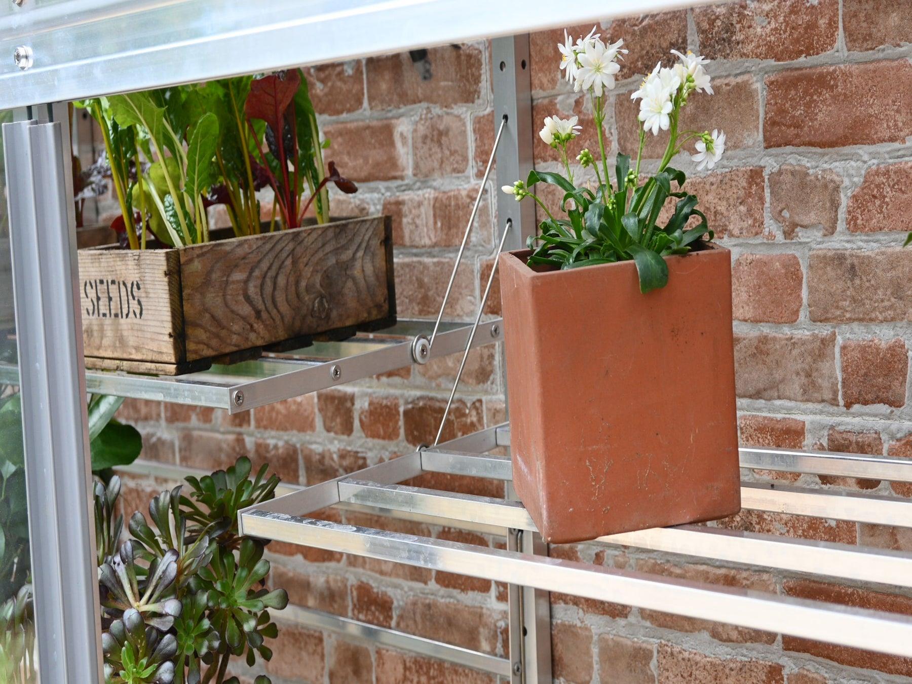 5" Harewood Greenhouse