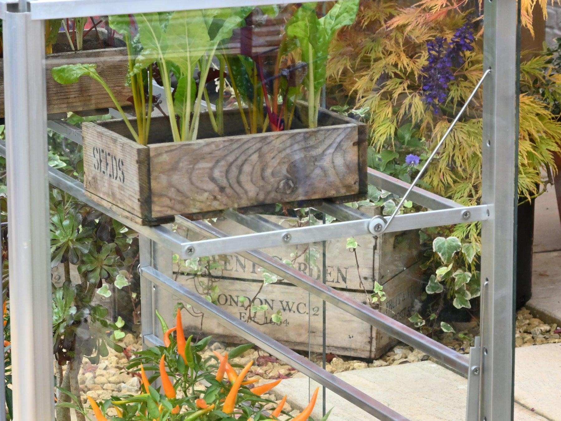 5" Eltham-D Greenhouse