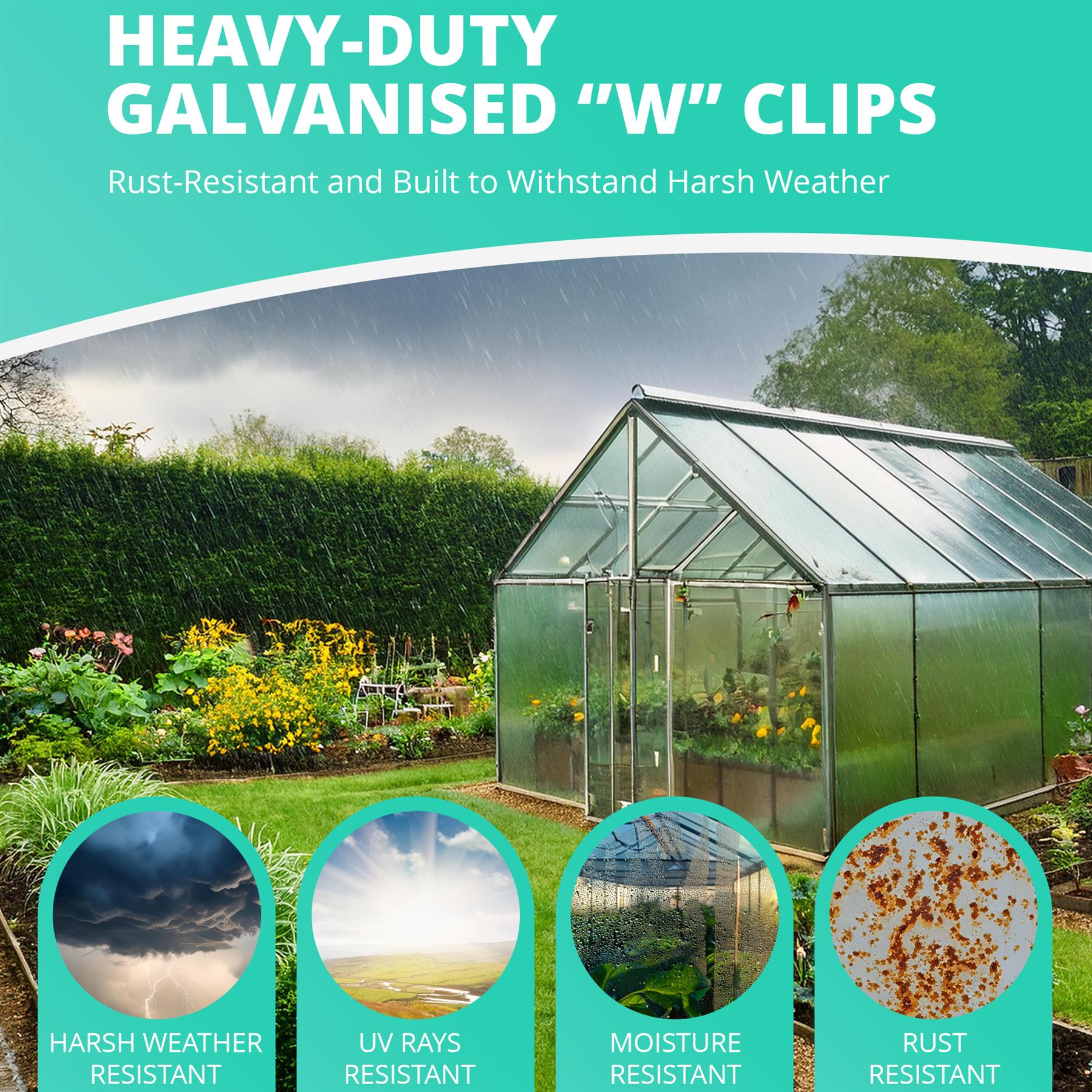 Greenhouse Glass W Clips 50/100