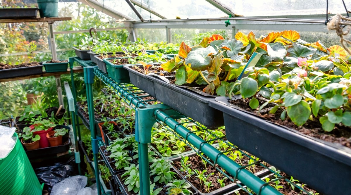 Greenhouse Accessories