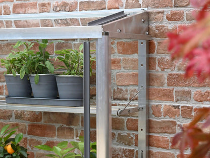 5&quot; 1/2 Westminster Greenhouse