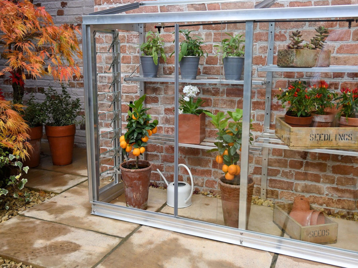 5&quot; Harlow Greenhouse