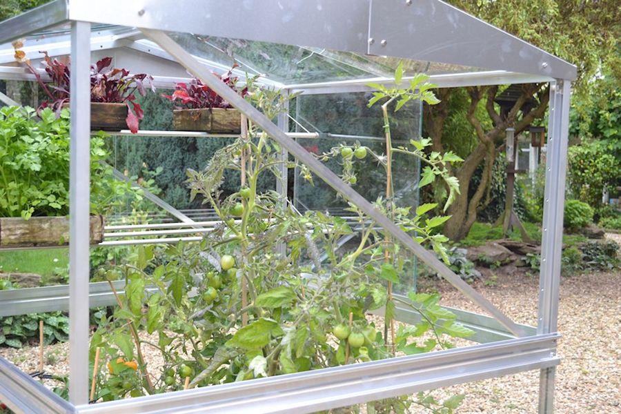 Brace Set for Double Tomato House