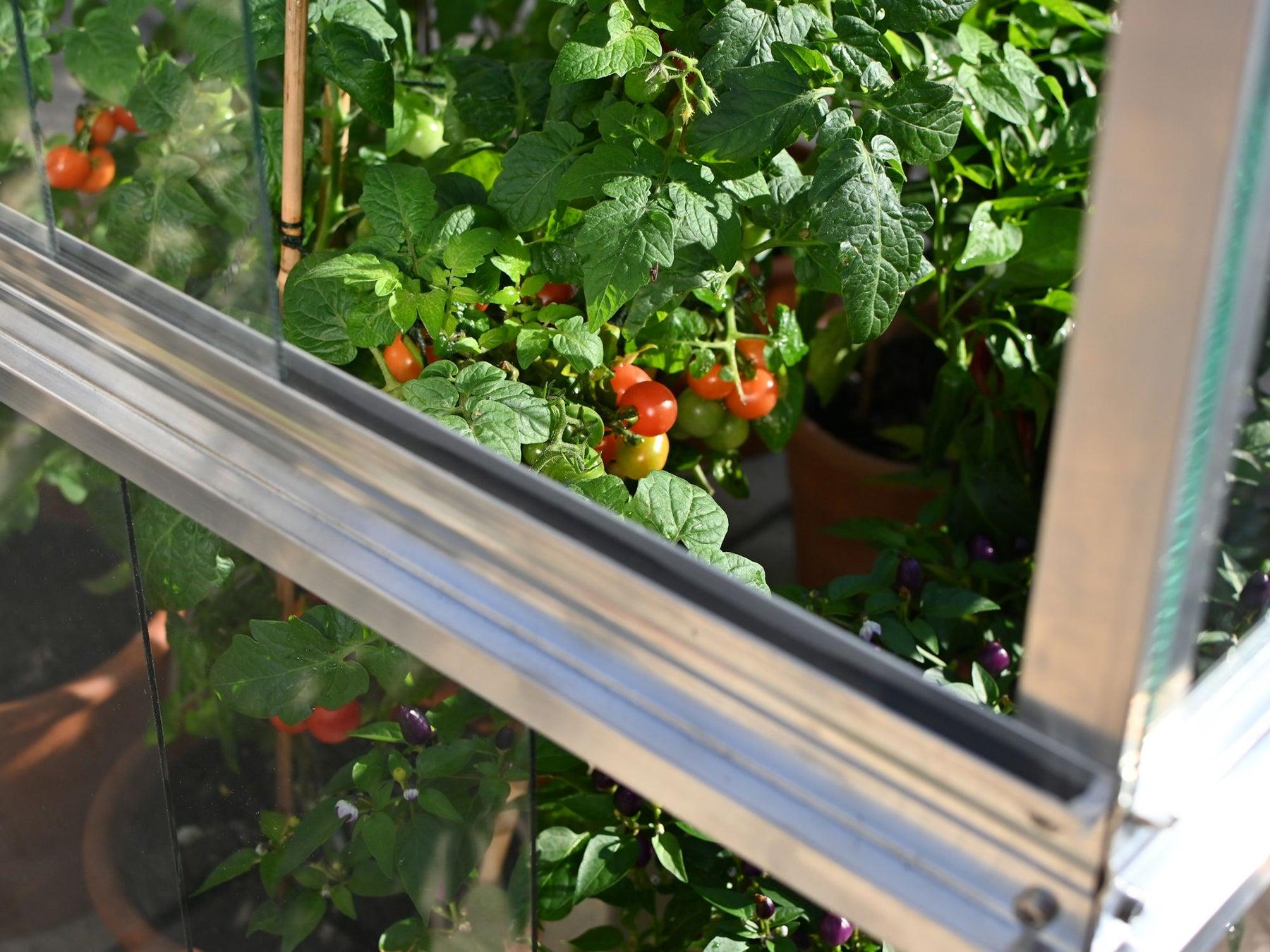 Double Tomato House