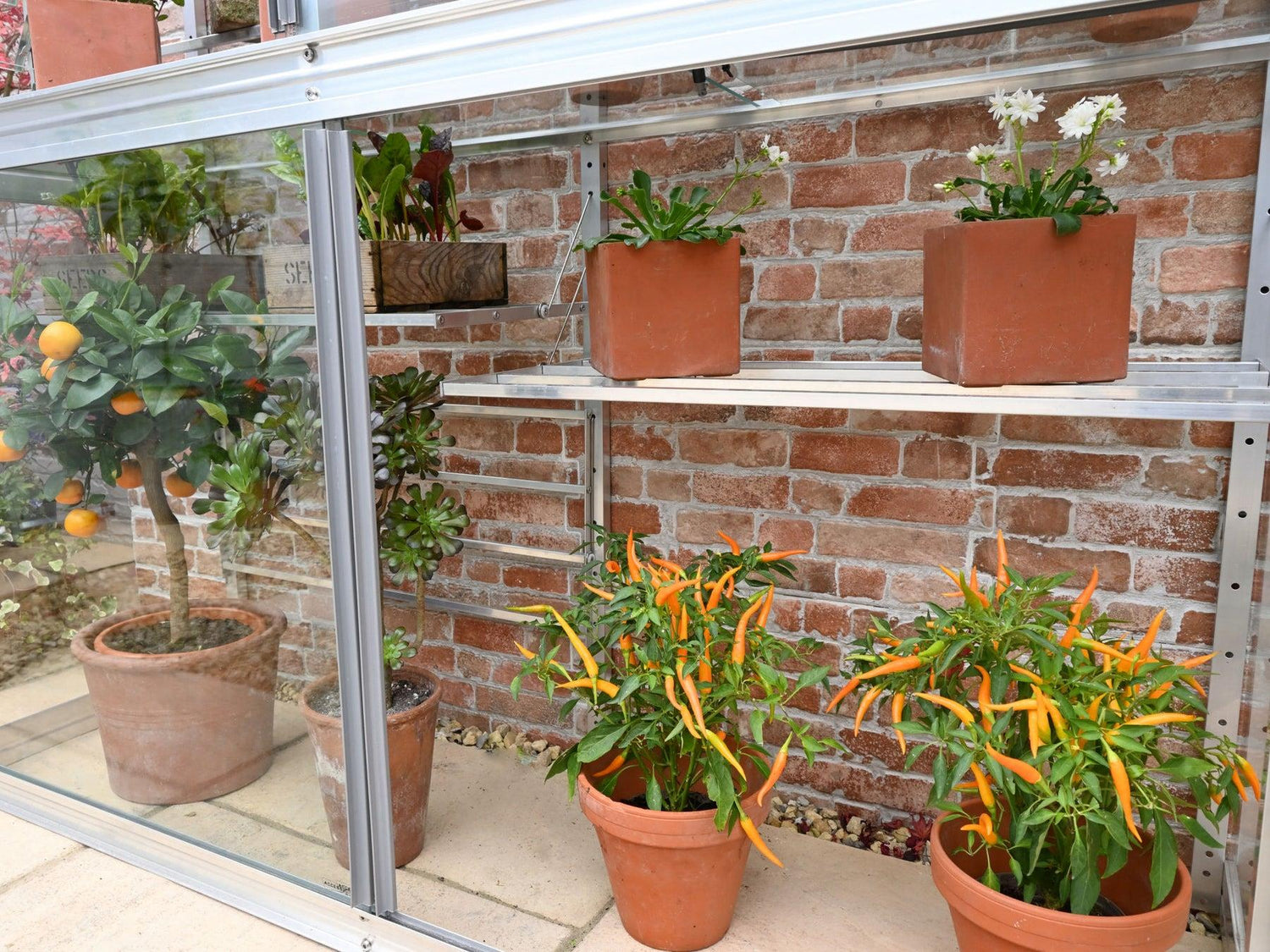 5&quot; Harewood Greenhouse
