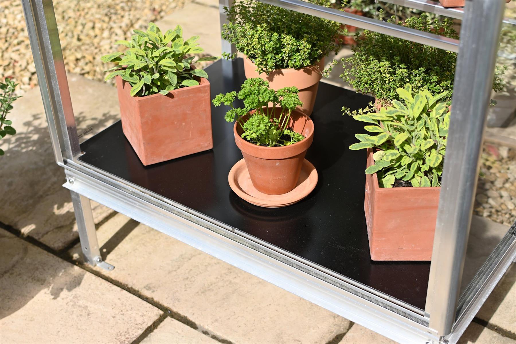 Winter Plate for Herb House