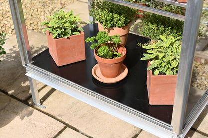 Winter Plate for Herb House