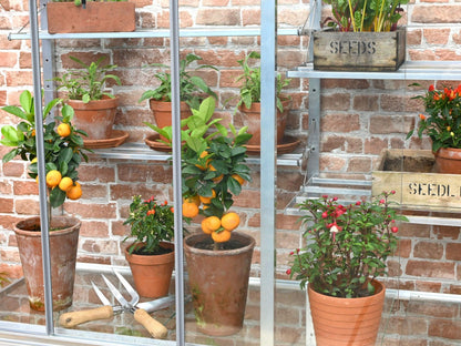 5&quot; Hampton Greenhouse