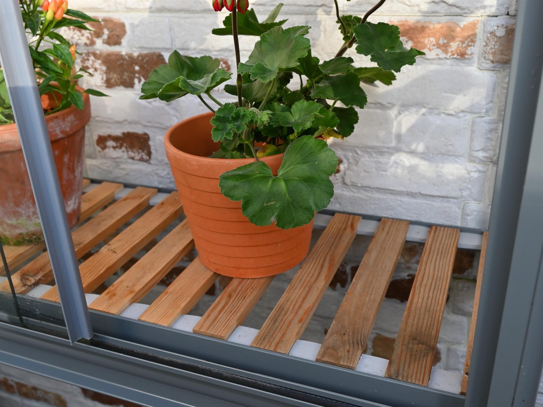 Access Westminster Wall Mounted Greenhouse