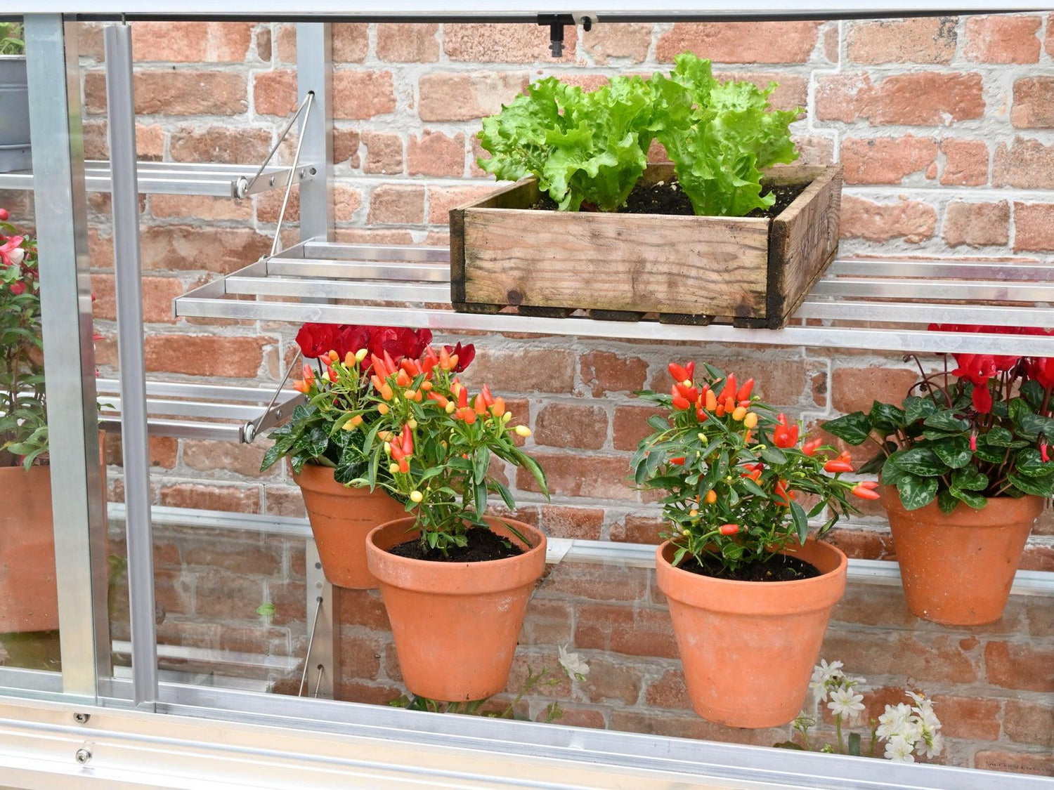 5&quot; Harewood Greenhouse