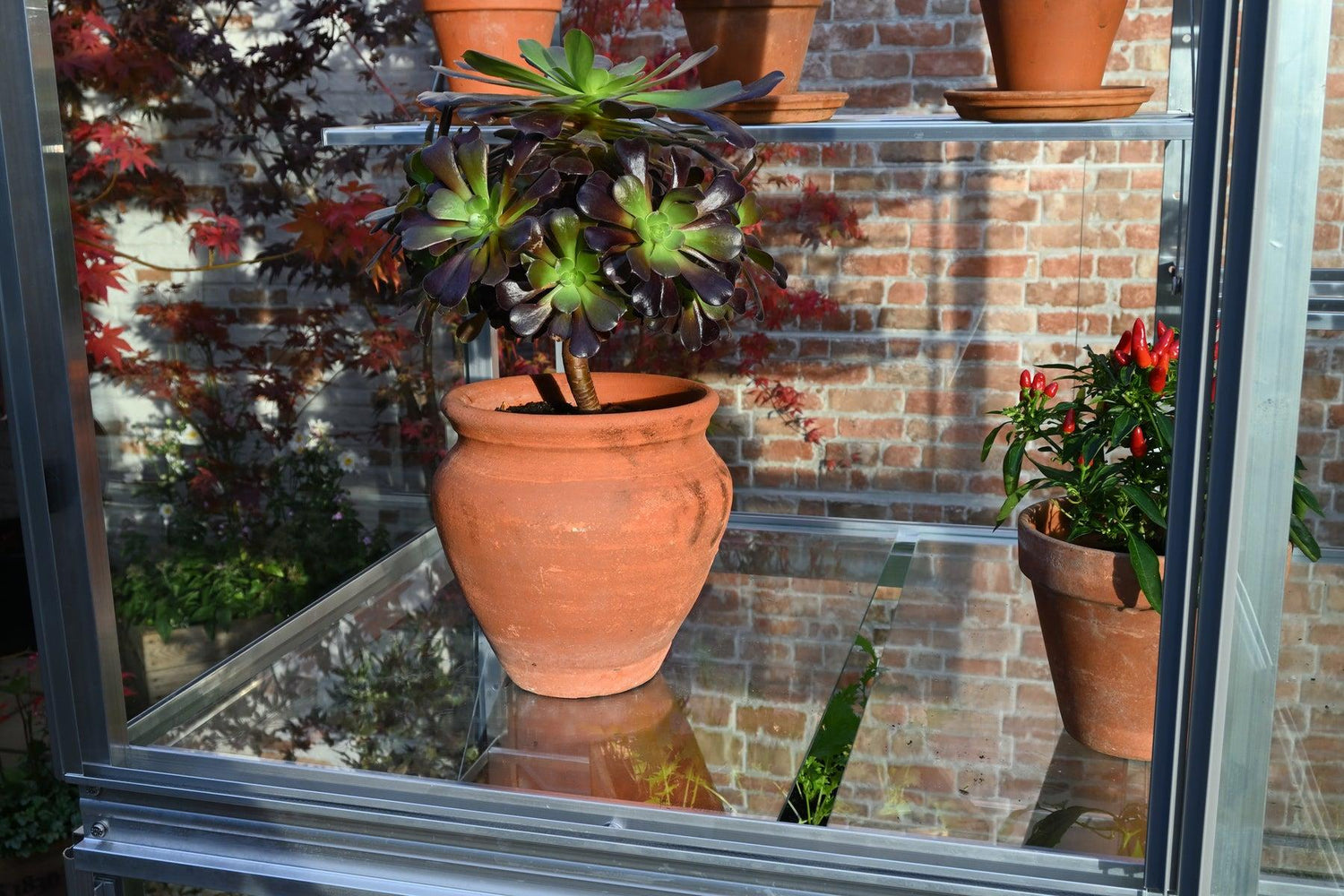 5&quot; Exbury Greenhouse