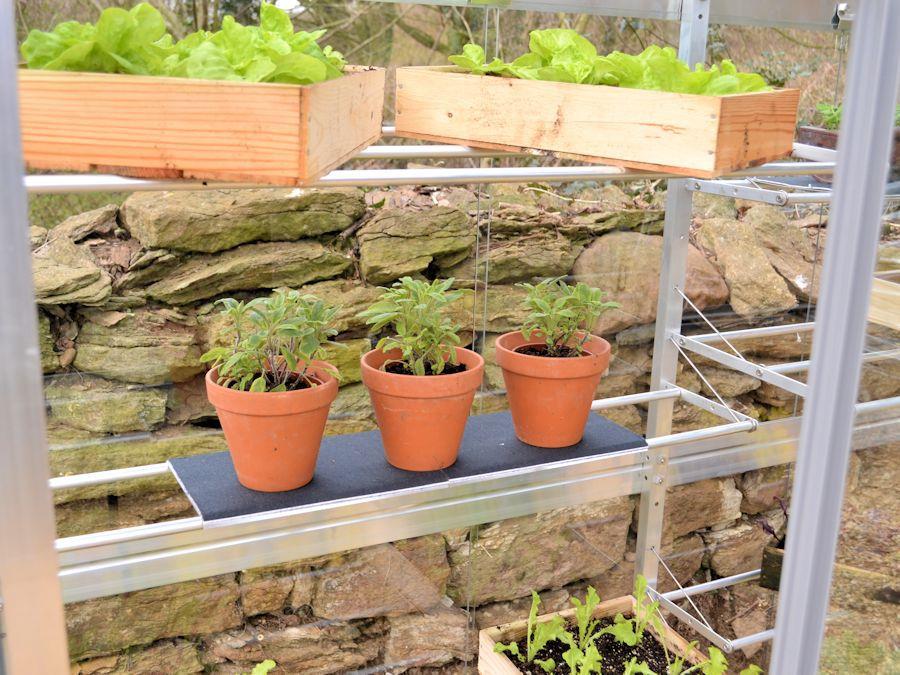 6ft Growhouse