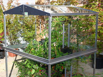 Double Tomato House