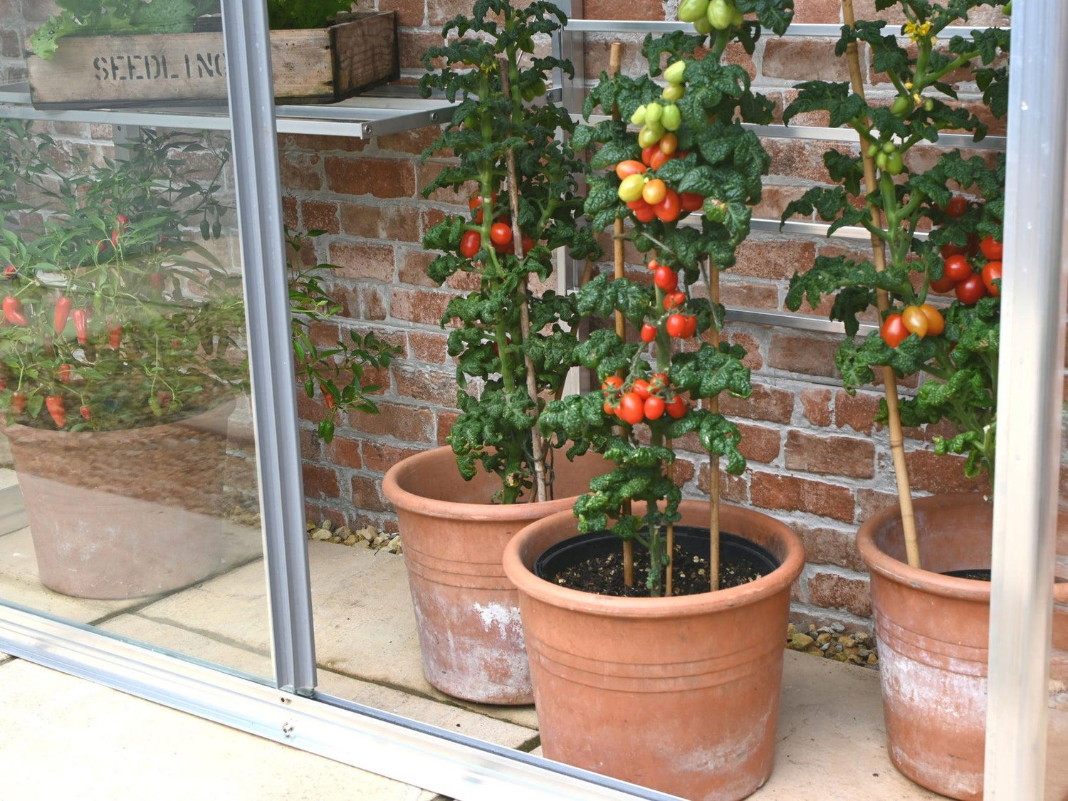 5&quot; Hampton Greenhouse