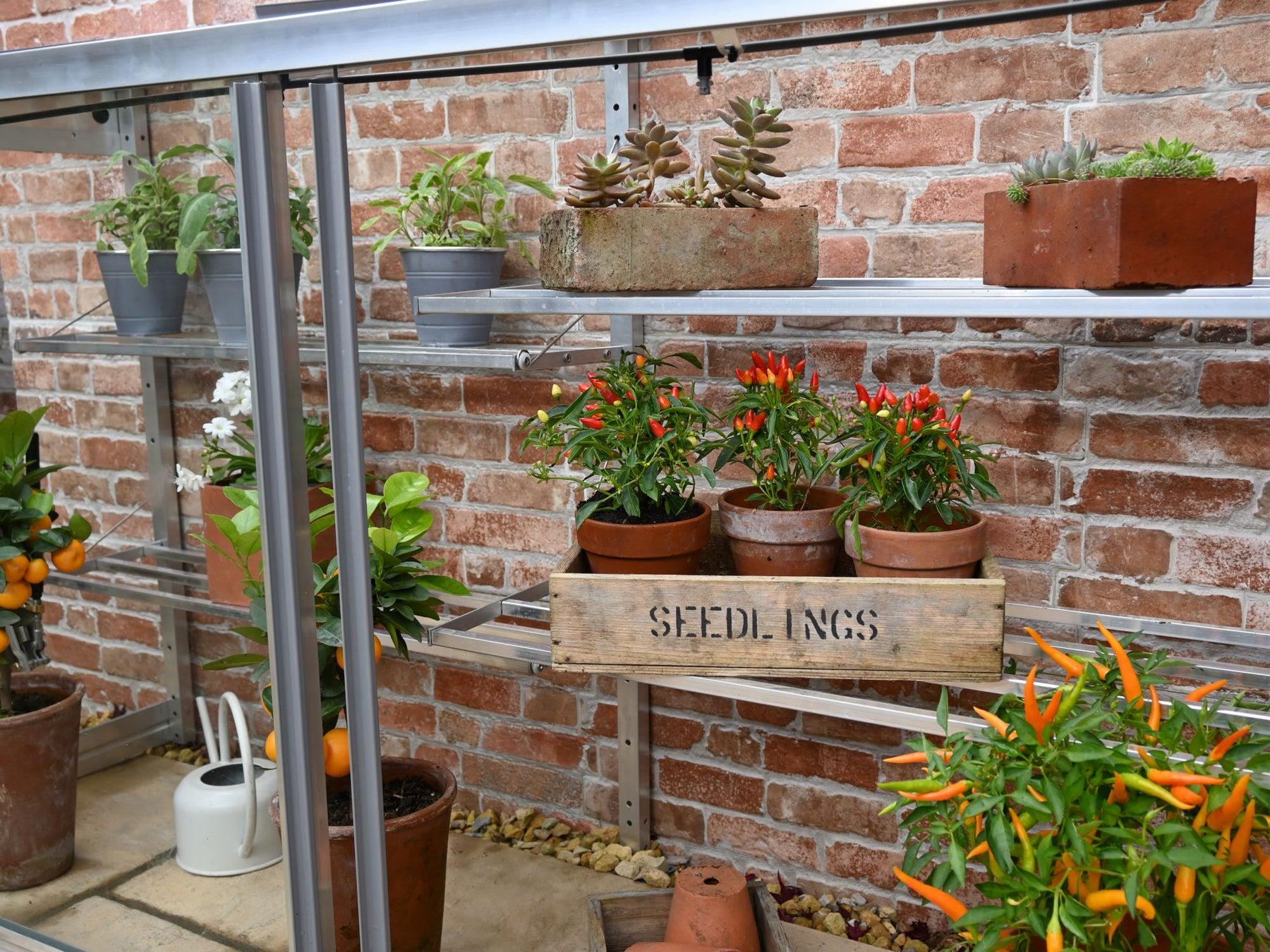 5&quot; Harlow Greenhouse