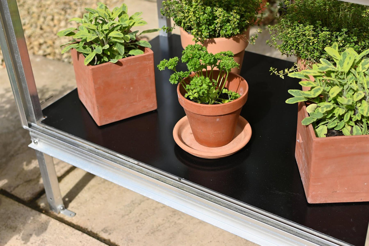 Winter Plate for Herb House