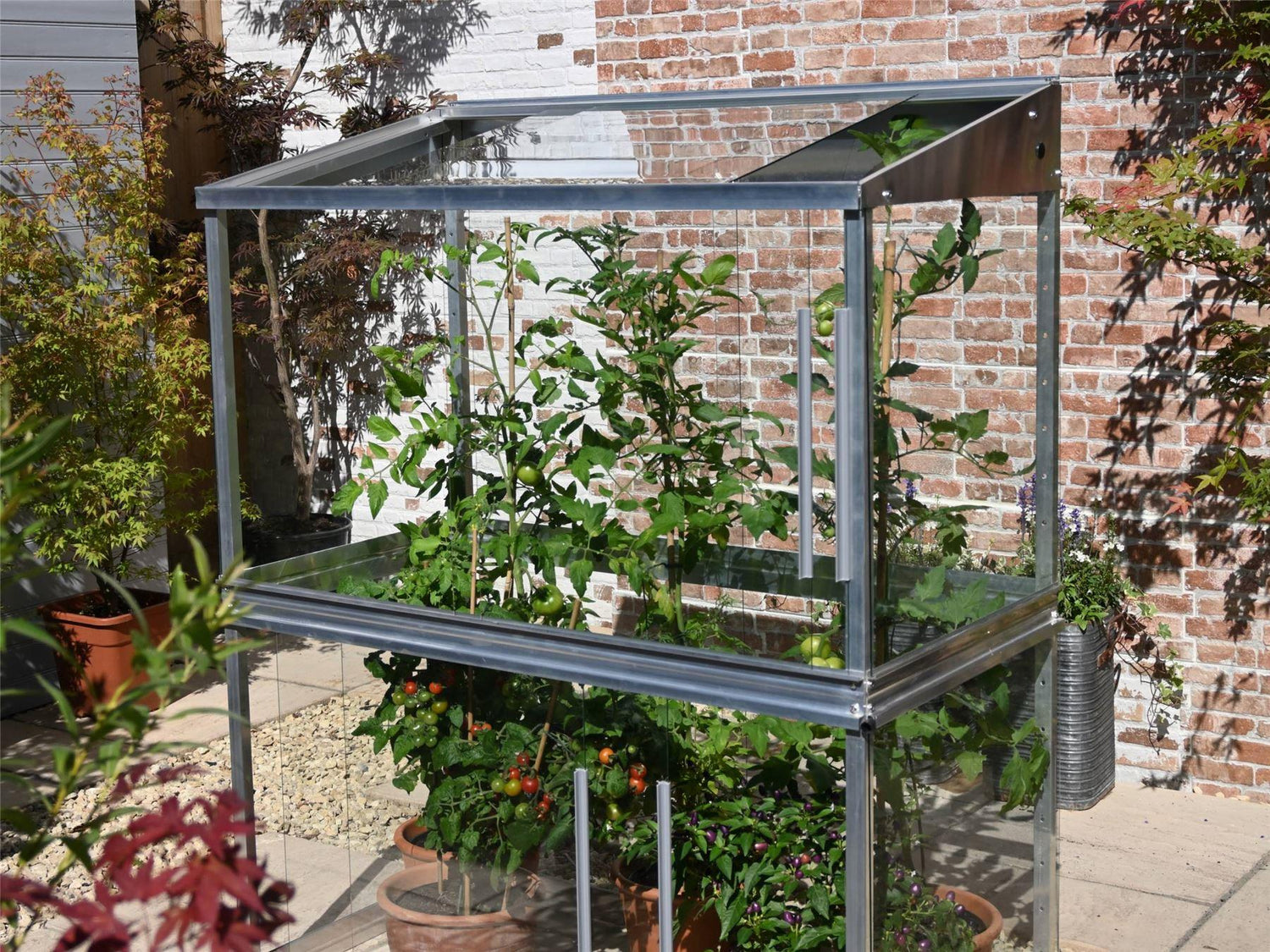 4ft Tomato House