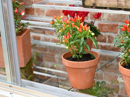 5&quot; Harewood Greenhouse