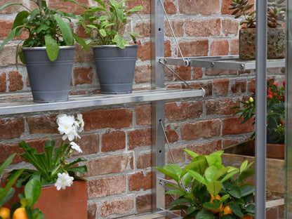 5&quot; Harlow Greenhouse