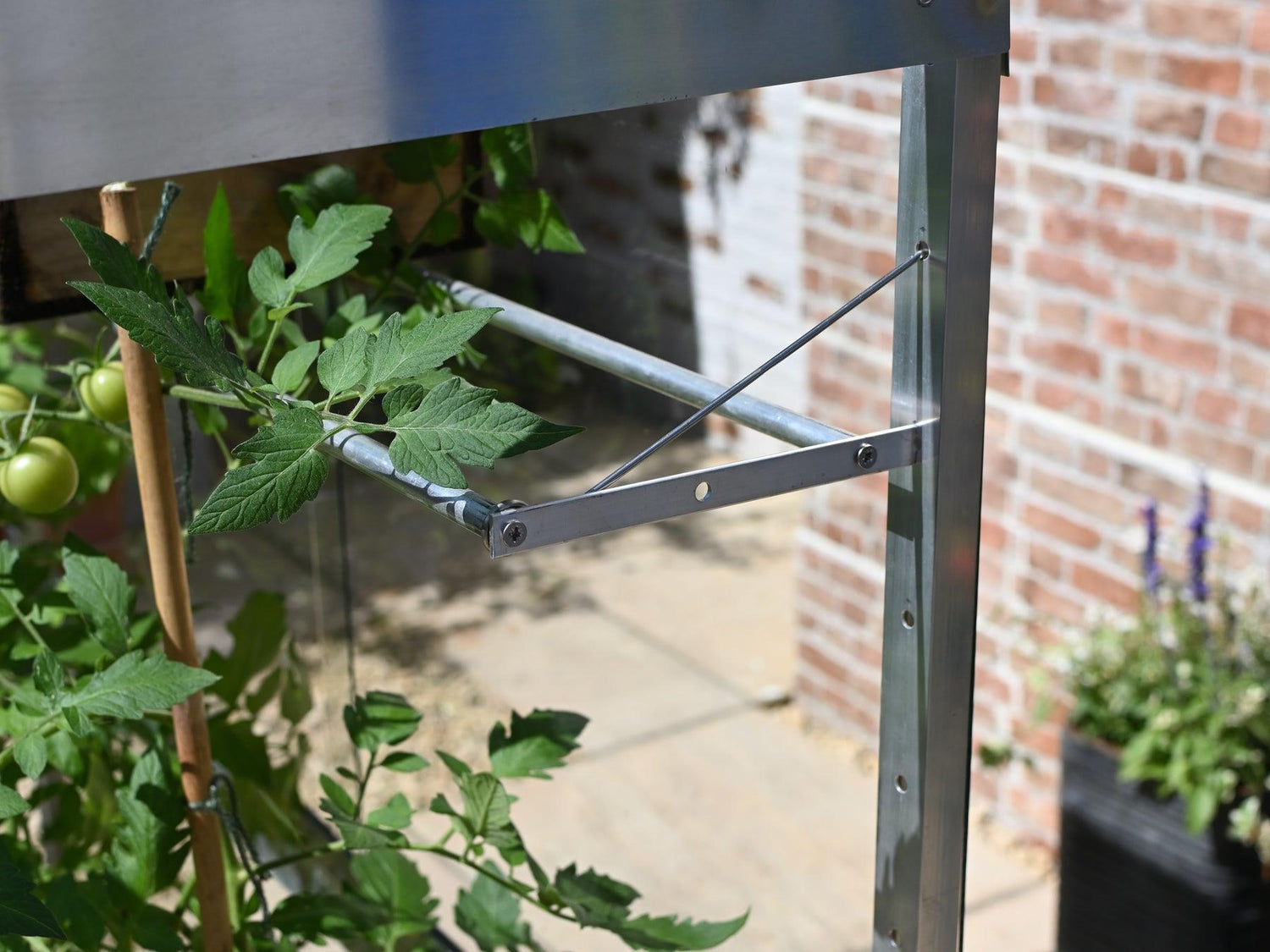 4ft Tomato House