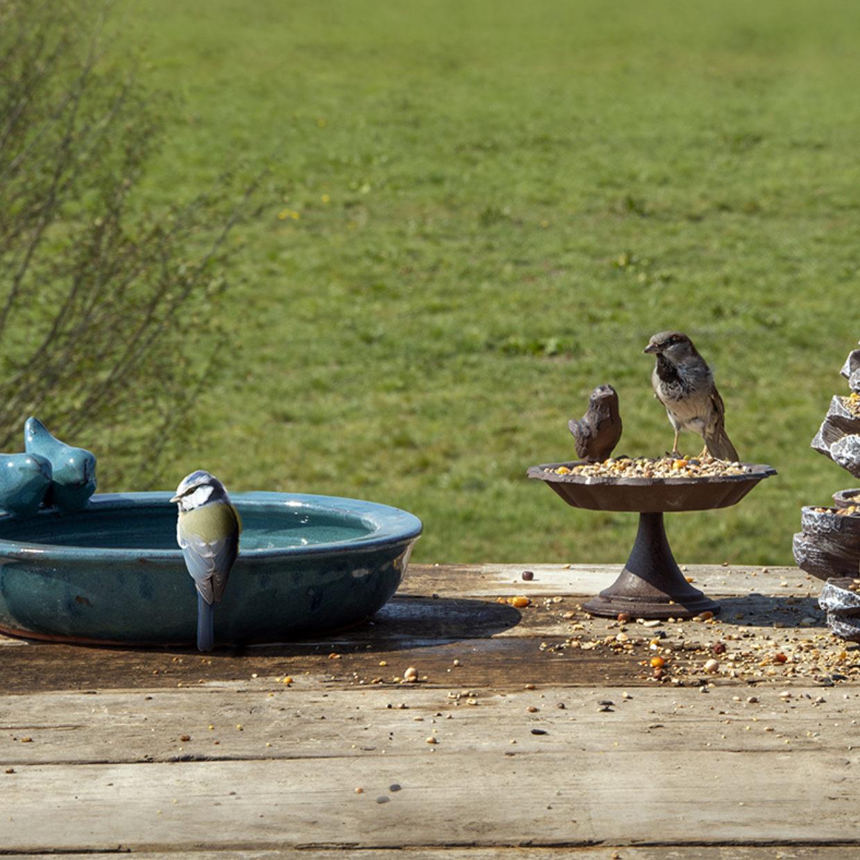 Esschert Design FB488 Petrol Round Bird Bath Blue