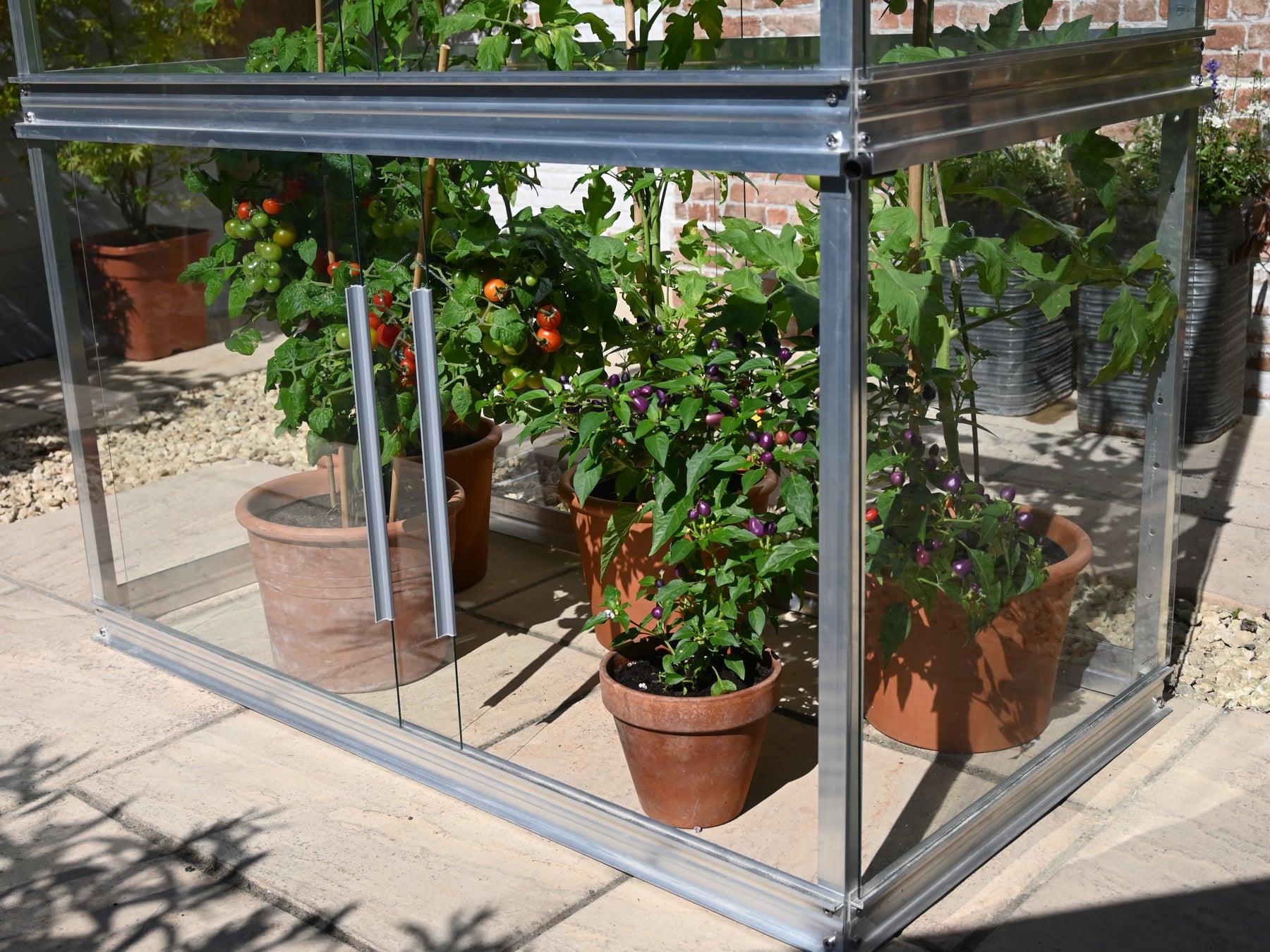 4ft Tomato House