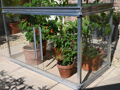 4ft Tomato House