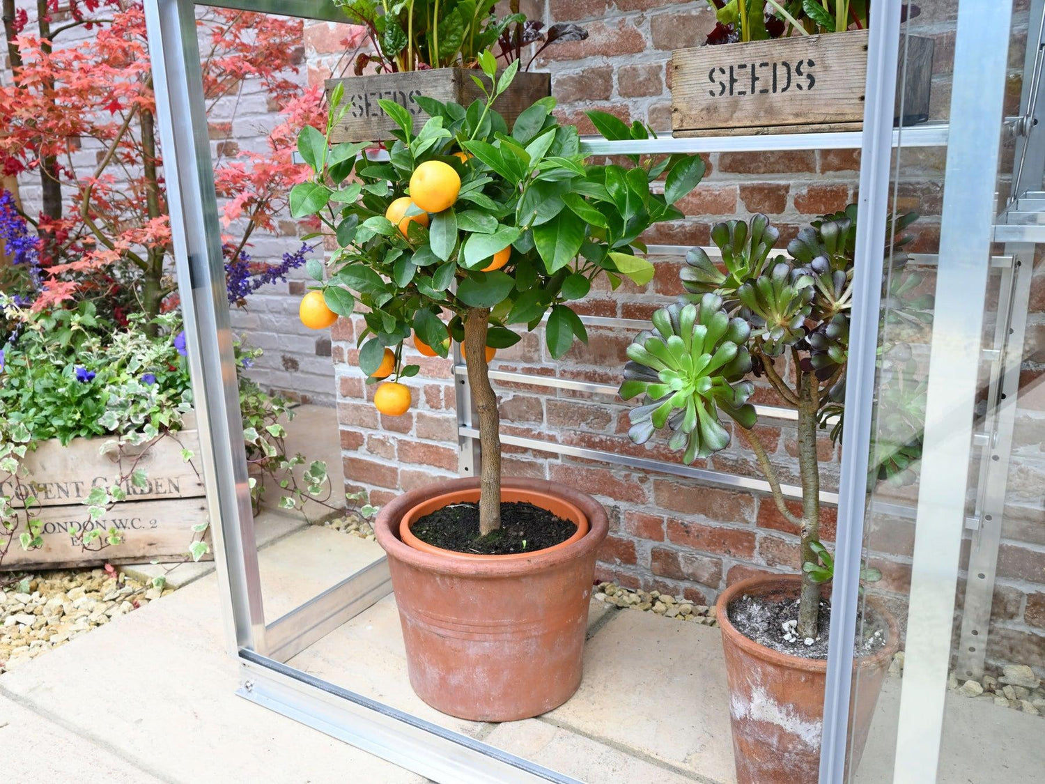 5&quot; Harewood Greenhouse